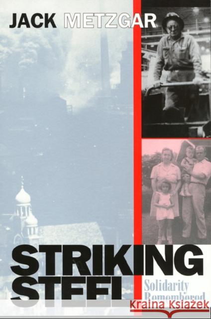 Striking Steel: Solidarity Remembered Metzgar, Jack 9781566397391 Temple University Press