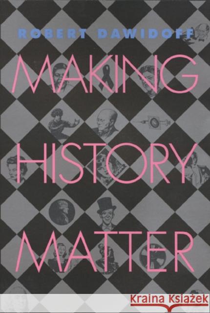 Making History Matter Robert Dawidoff 9781566397490 Temple University Press