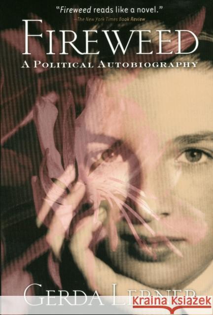 Fireweed: A Political Autobiography Gerda Lerner Susan Porter Benson Roy Rosenzweig 9781566398893 Temple University Press