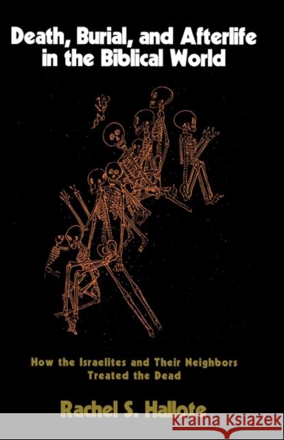 Death, Burial, and Afterlife in the Biblical World: How the Israelites and Their Neighbors Treated the Dead Hallote, Rachel S. 9781566634014 Ivan R. Dee Publisher