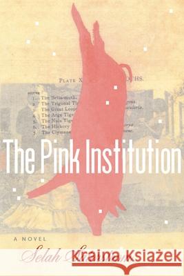 The Pink Institution Selah Saterstrom 9781566891554