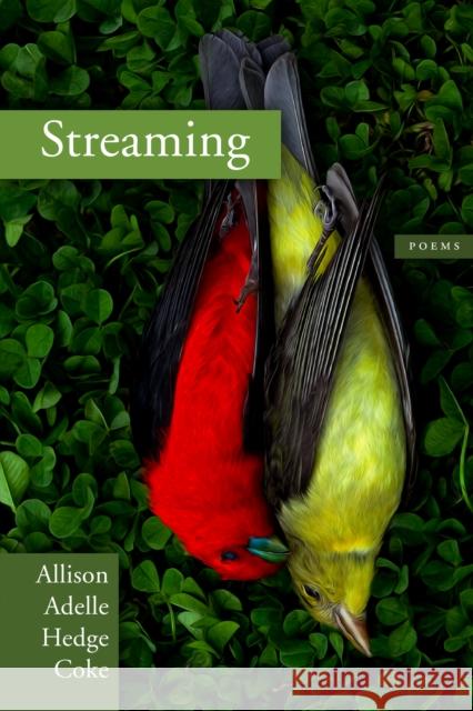 Streaming Allison Adelle Hedg 9781566893756 Coffee House Press