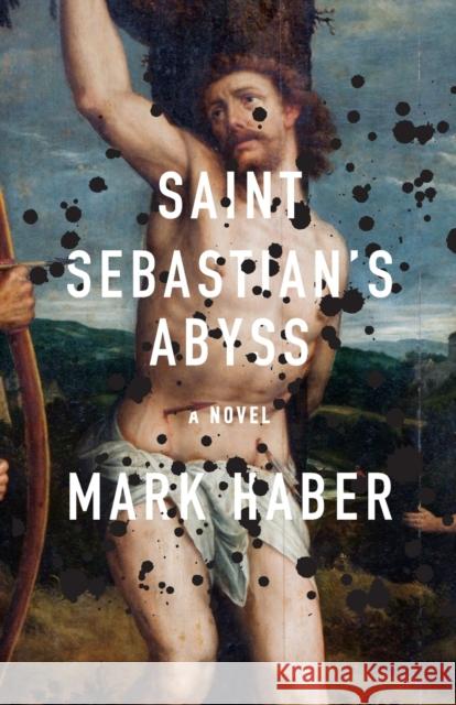 Saint Sebastian's Abyss  9781566896368 Coffee House Press