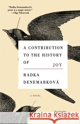 A Contribution to the History of Joy  9781566897662 Coffee House Press