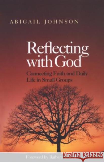 Reflecting with God: Connecting Faith and Daily Life in Small Groups Johnson, Abigail 9781566992923 Rowman & Littlefield Publishers