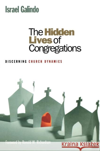 The Hidden Lives of Congregations: Discerning Church Dynamics Galindo, Israel 9781566993074