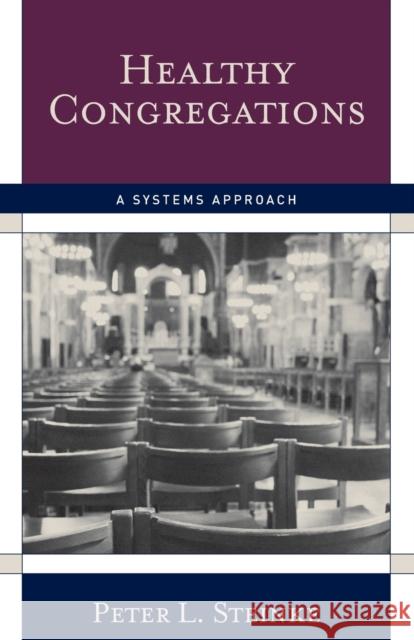Healthy Congregations: A Systems Approach Steinke, Peter L. 9781566993302