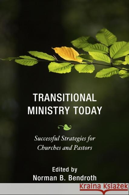 Transitional Ministry Today: Successful Strategies for Churches and Pastors Norman B. Bendroth David R. Sawyer Cameron Trimble 9781566997508 Rowman & Littlefield Publishers