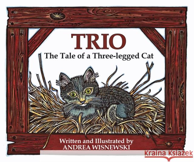Trio: The Tale of a Three-Legged Cat Andrea Wisnewski 9781567926088 Davd R. Godine