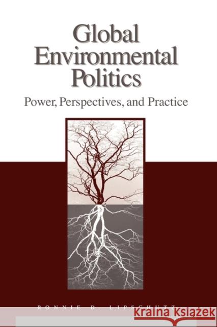 Global Environmental Politics: Power, Perspectives, and Practice Lipschutz, Ronnie D. 9781568027494 CQ Press