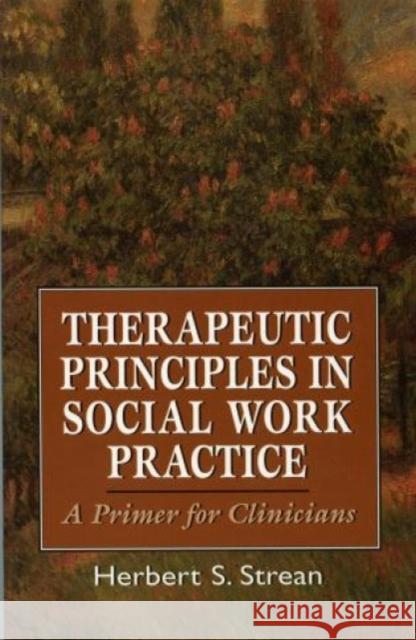 Therapeutic Principles in Social Work Practice: A Primer for Clinicians Strean, Herbert S. 9781568211374