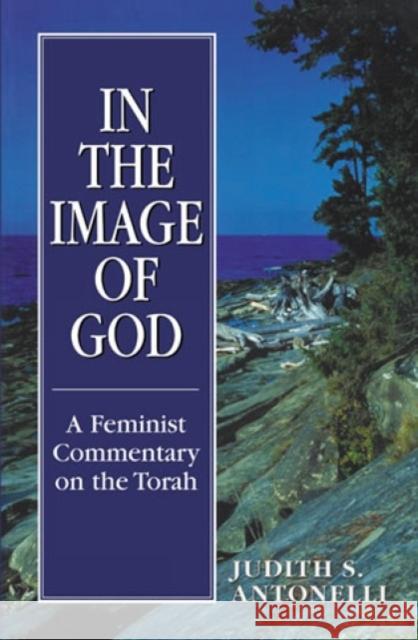 In the Image of God: A Feminist Commentary on the Torah Antonelli, Judith S. 9781568214382 Jason Aronson