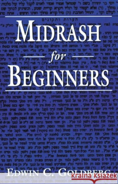 Midrash for Beginners Edwin C. Goldberg 9781568215990 Jason Aronson