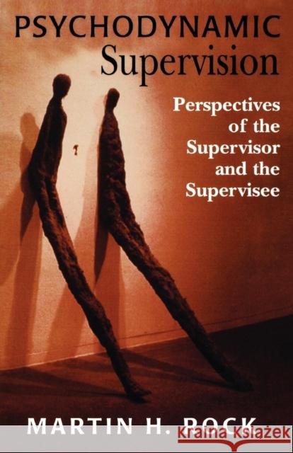 Psychodynamic Supervision: Perspectives for the Supervisor and the Supervisee Rock, Martin H. 9781568216935 Jason Aronson
