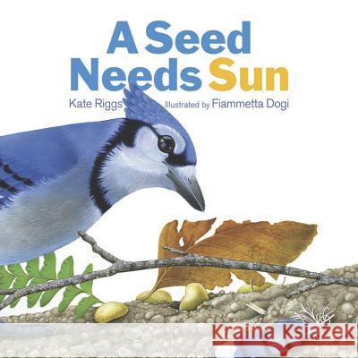 A Seed Needs Sun Kate Riggs 9781568462547 Creative Editions