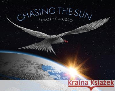 Chasing the Sun Timothy Musso Timothy Musso 9781568463896 Creative Editions