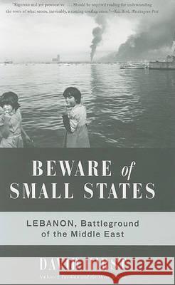 Beware of Small States: Lebanon, Battleground of the Middle East David Hirst 9781568586571