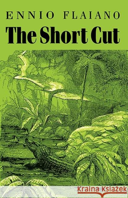 The Short Cut Flaiano, Ennio 9781568970196 Marlboro Press