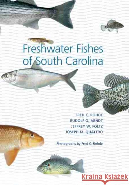 Freshwater Fishes of South Carolina Fred C. Rohde 9781570036804 University of South Carolina Press