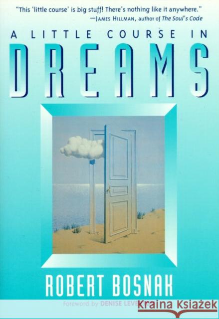 A Little Course in Dreams Bosnak, Robert 9781570623868