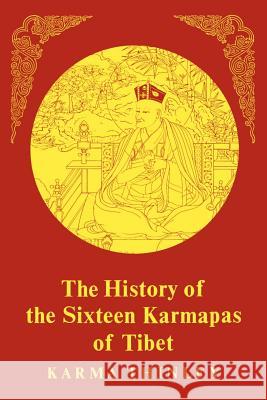 The History of the Sixteen Karmapas of Tibet Karma Thinley David Stott Namkha Tashi 9781570626449