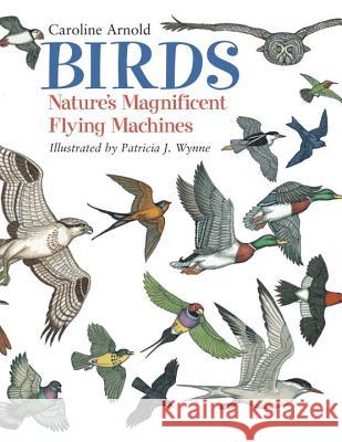 Birds: Nature's Magnificent Flying Machines Caroline Arnold Patricia J. Wynne 9781570915727 Charlesbridge Publishing