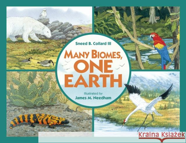 Many Biomes, One Earth Sneed B., III Collard 9781570916328