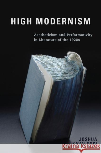 High Modernism: Aestheticism and Performativity in Literature of the 1920s Joshua Kavaloski 9781571139108 Camden House (NY)