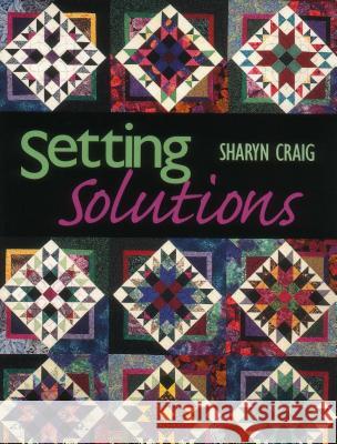 Setting Solutions Sharyn Craig 9781571201171 C & T Publishing