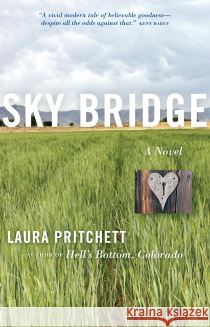 Sky Bridge Pritchett, Laura 9781571310545