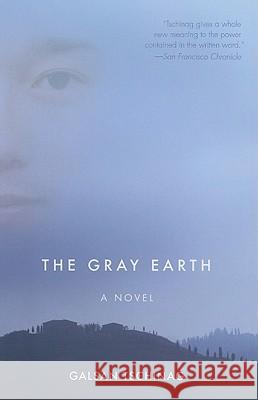 The Gray Earth Katharina Rout 9781571310651