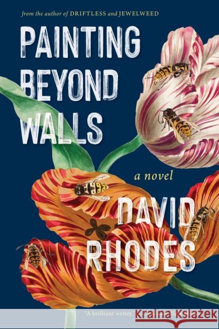 Painting the Walls: A Novel David Rhodes 9781571311412 Milkweed Editions