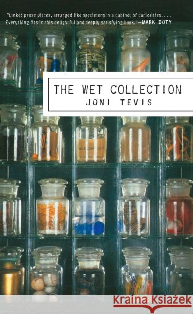 The Wet Collection Tevis, Joni 9781571313164 Milkweed Editions