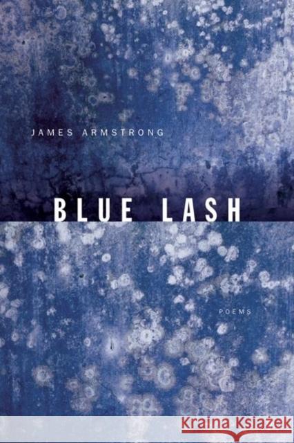 Blue Lash: Poems Armstrong, James 9781571314246 Milkweed Editions