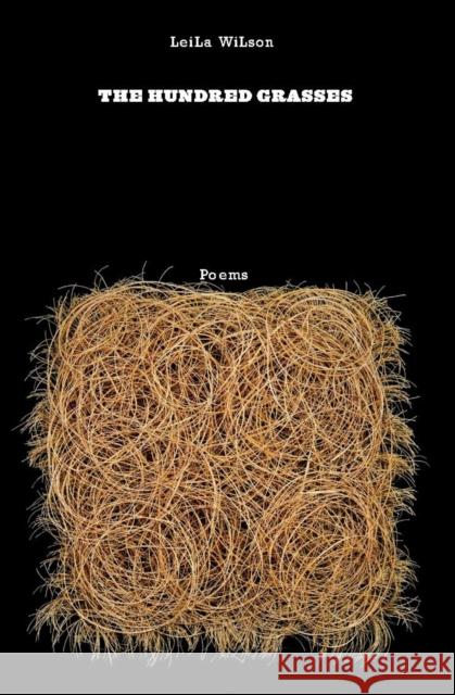 The Hundred Grasses Wilson, Leila 9781571314475 Milkweed Editions