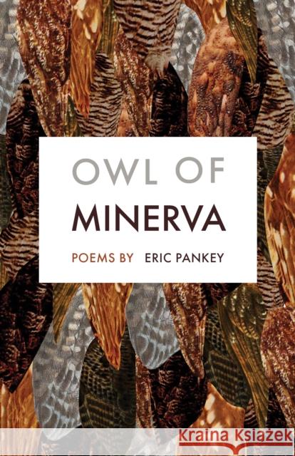 Owl of Minerva: Poems Eric Pankey 9781571315106