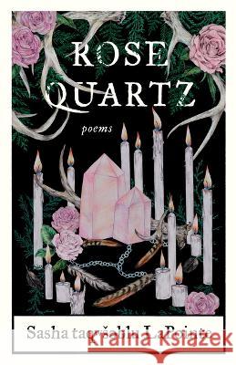 Rose Quartz: Poems Sasha Taqwsəblu Lapointe 9781571315434 Milkweed Editions