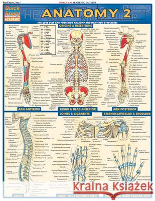 Anatomy 2 - Reference Guide (8.5 X 11): A Quickstudy Reference Tool Vincent Perez 9781572228566 Barcharts