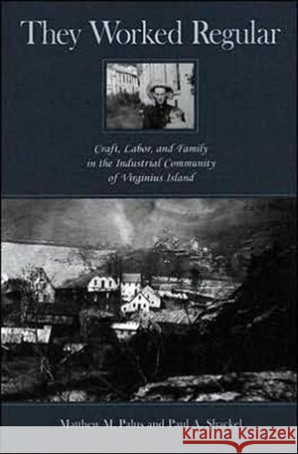 They Worked Regular: Craft, Labor, and Family in the Industrial Community of Virginius Island Palus, Matthew 9781572334441 University of Tennessee Press
