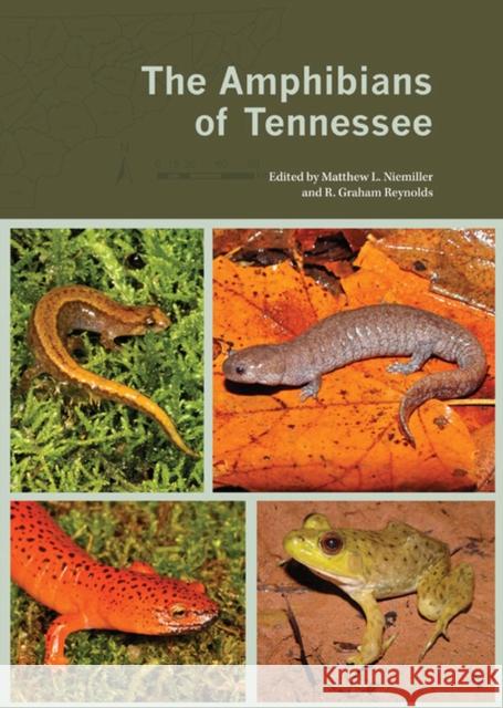 The Amphibians of Tennessee Matthew Niemiller R Graham Reynolds  9781572337626 University of Tennessee Press