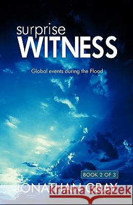 The Surprise Witness Jonathan Gray 9781572585546