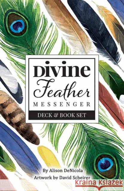 Divine Feather Messenger Alison DeNicola, David Scheirer 9781572819627