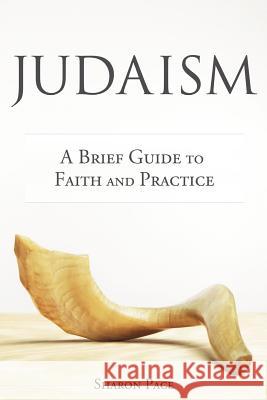 Judaism: A Brief Guide to Faith and Practice Sharon Pace 9781573126441 Smyth & Helwys Publishing