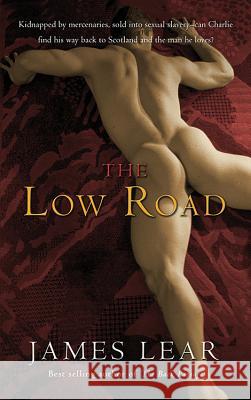 Low Road James Lear 9781573443647 Cleis Press