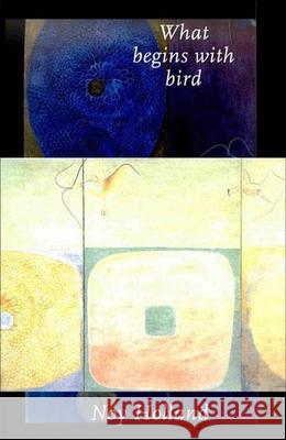 What Begins with Bird: Fictions Noy Holland 9781573661256