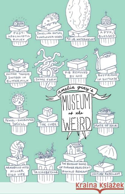 Museum of the Weird Amelia Gray 9781573661560 Fc2/University of Alabama Press