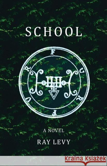 School: A Novel Ray Levy 9781573662024 The University of Alabama Press