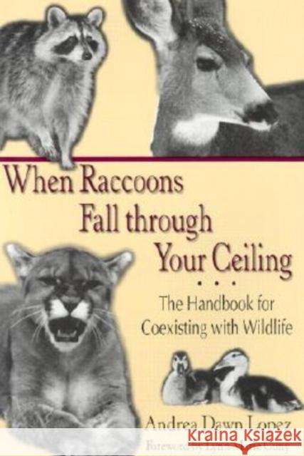 When Raccoons Fall Through Your Ceiling: The Handbook for Coexisting with Wildlife Lopez, Andrea Dawn 9781574411546 University of North Texas Press