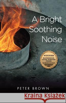 A Bright Soothing Noise Peter Brown 9781574412918