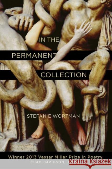 In the Permanent Collection Stefanie Wortman 9781574415544 University of North Texas Press